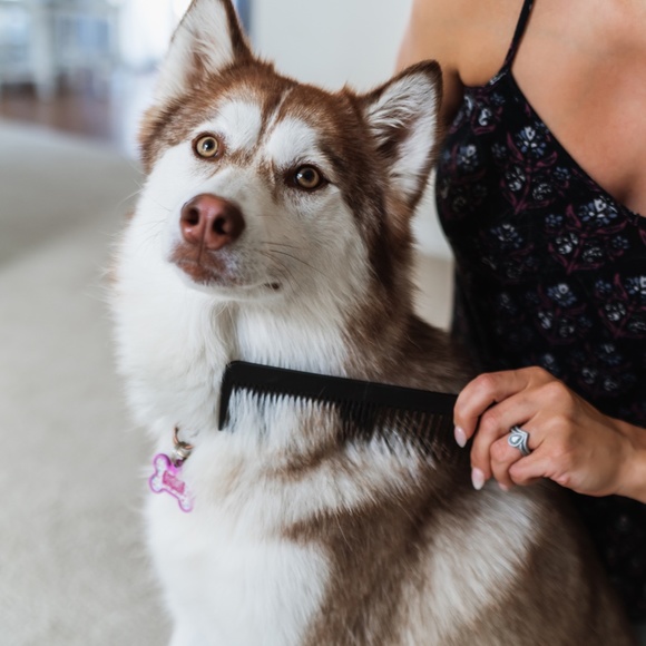NEW Carbon Fiber Pet Comb from Chicago Comb Co. - Picture 3 of 4